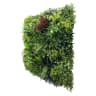 First Lawn Minerva Living Wall Panel 1 x 1m