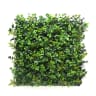 First Lawn Holly Living Wall Panel 1 x 1m