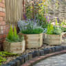 Forest York Hexagonal Planter Set of 3