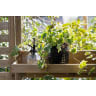 Forest Slatted Wall Planter 2 Shelves 1800 x 600 x 35mm