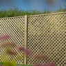 Forest Rosemore Lattice 1.8m x 1.8m Pack of 3