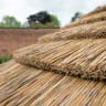 Forest Hexagonal Wooden Garden Gazebo with Thatched Roof Furnished 3.6m Cream - Installed