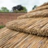 Forest Hexagonal Wooden Garden Gazebo With Thatched Roof Furnished 4m Cream - Installed