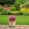 Hexa Planter