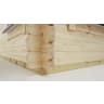 Power Sheds 18 x 12 Power Apex Log Cabin Doors Central 44mm