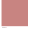 Graphenstone GrafClean Old Lilac 100ml