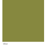 Graphenstone GrafClean Olive 100ml