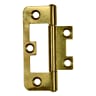 Raptor 50mm Flush Hinges<BR>Electro Brass<BR>Pack of 20