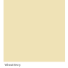Graphenstone GrafClean Wheat Berry 10L