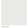 Graphenstone GrafClean White Pepper Eggshell 4L