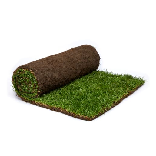 Rolawn Medallion Turf 1m²