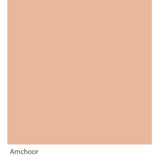 Graphenstone GrafClean Amchoor 10L