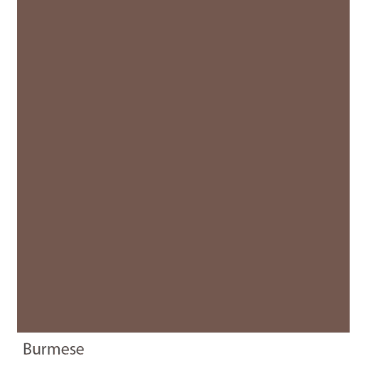 Graphenstone GrafClean Burmese 4L