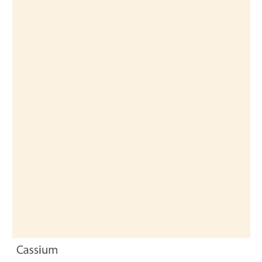 Graphenstone Ambient Pro+ 4L Cassium