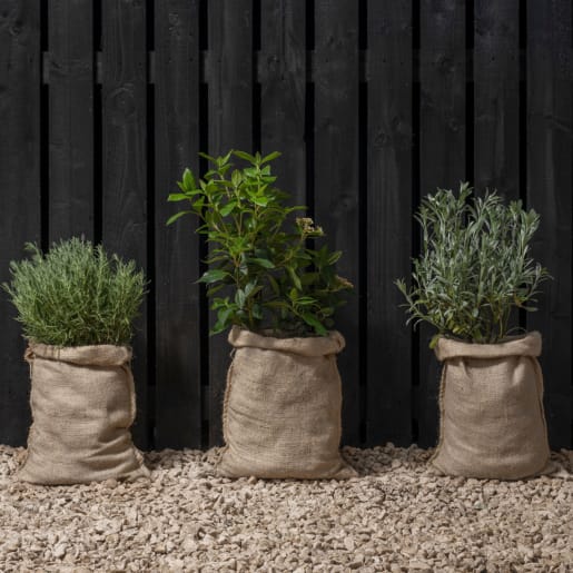 Ronseal 5 Year Fence Life+ Shed & Fence Protector Tudor 5L Black Oak