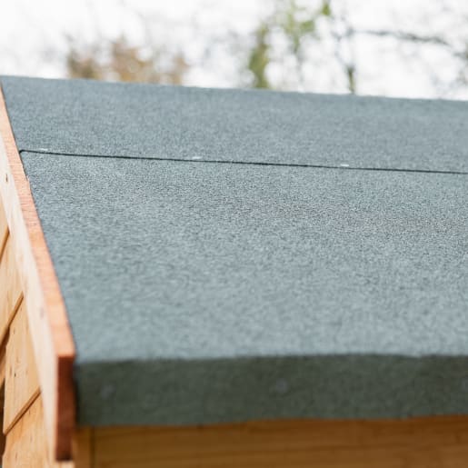Forest Shiplap Dip Treated Apex Shed 6 x 4ft
