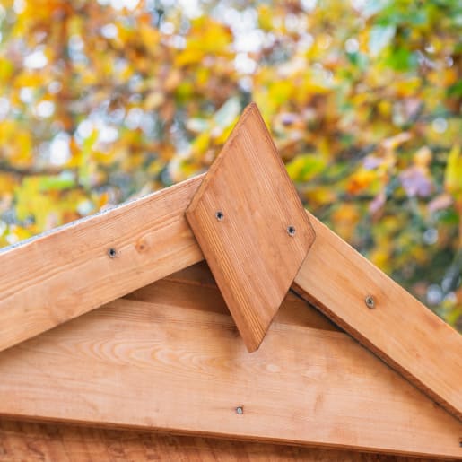 Forest Shiplap Dip Treated Apex Shed 6 x 4ft