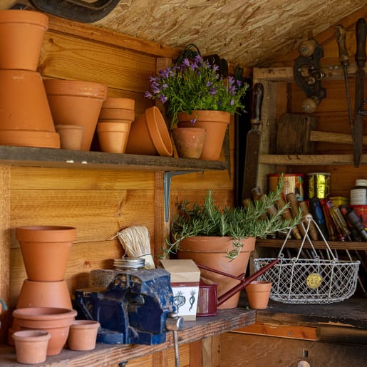 Forest Shiplap Dip Treated Potting Shed 8 x 6ft