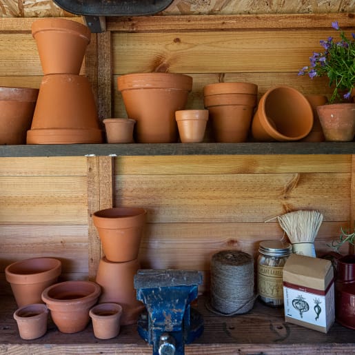 Forest Shiplap Dip Treated Potting Shed 8 x 6ft