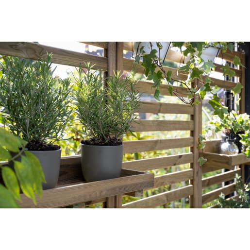 Forest Slatted Wall Planter 2 Shelves 1800 x 600 x 35mm