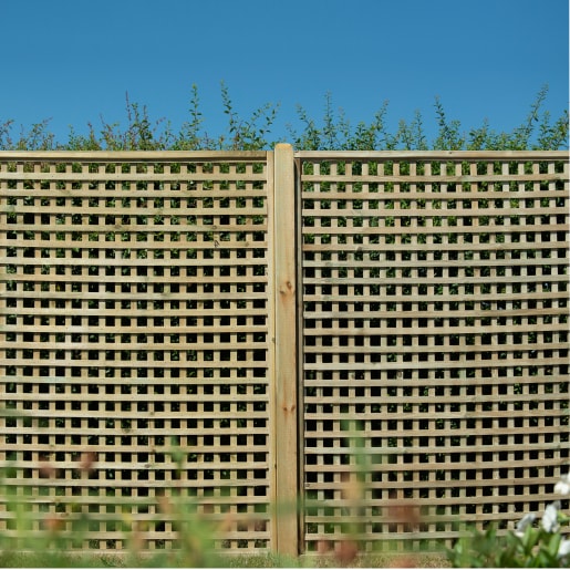 Forest Premium Framed Trellis 6ft x 6ft (1.8m x 1.8m) Pack of 5