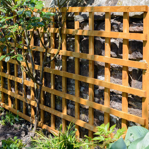 Grange Pressure Treated Heavy Duty Square Trellis Golden Brown 6ft X 3ft (1.83m X 0.9m)