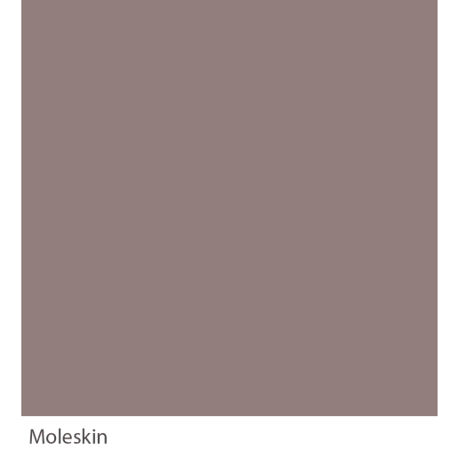 Graphenstone GrafClean Moleskin 100ml