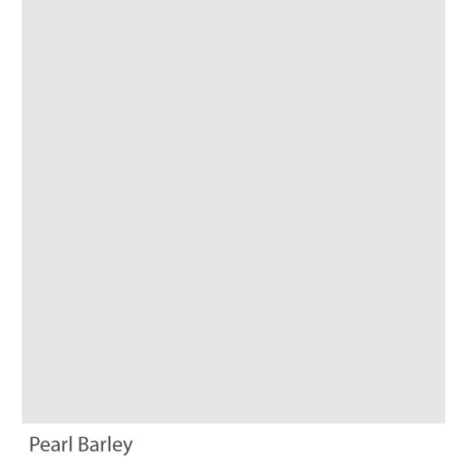 Graphenstone GrafClean Pearl Barley 100ml
