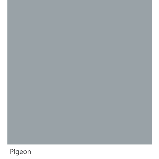 Graphenstone GrafClean Pigeon 100ml