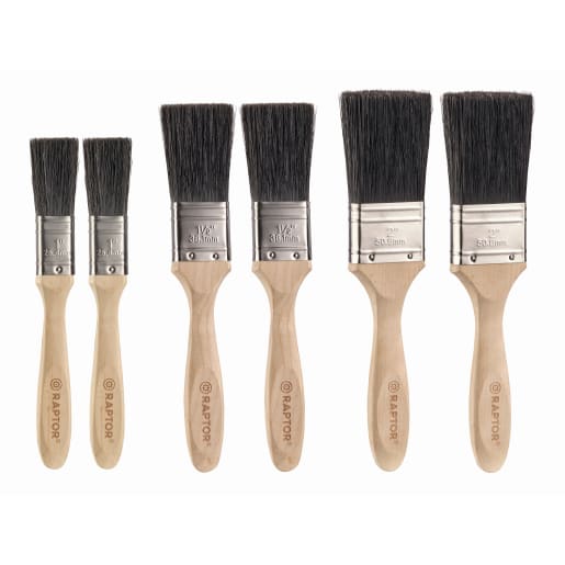 RAPTOR All Purpose Brush Set of 6