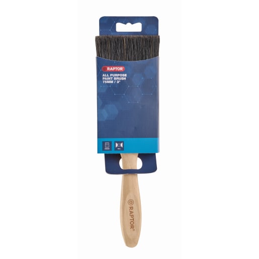 RAPTOR All Purpose Brush Set of 3
