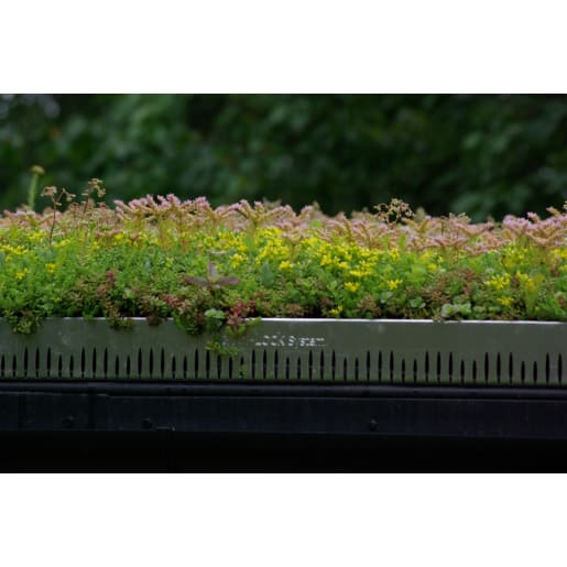 Sedum & Wildflower GrufeTile Green Roof Kit