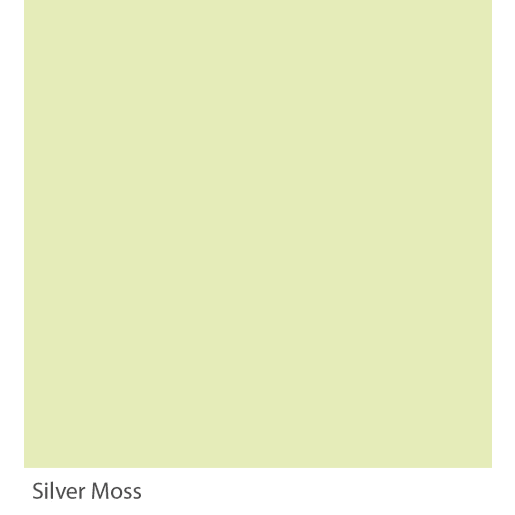 Graphenstone GrafClean Silver Moss 1L