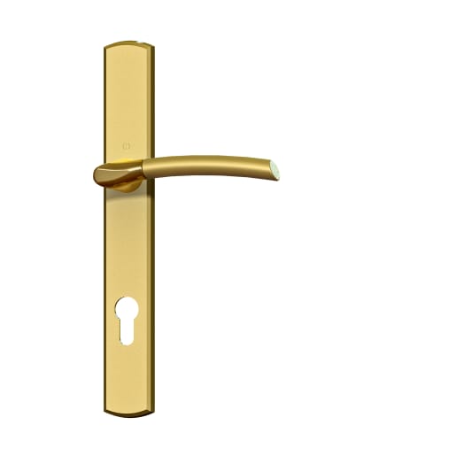 Winkhaus Palladio Quick Fit Handle 56-60mm in Gold