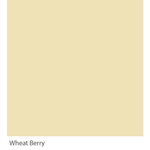 Graphenstone GrafClean Wheat Berry 100ml