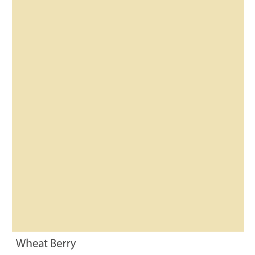 Graphenstone GrafClean Wheat Berry 10L